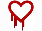 heartbleed_bug